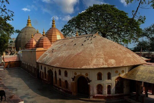 PGs in Guwahati