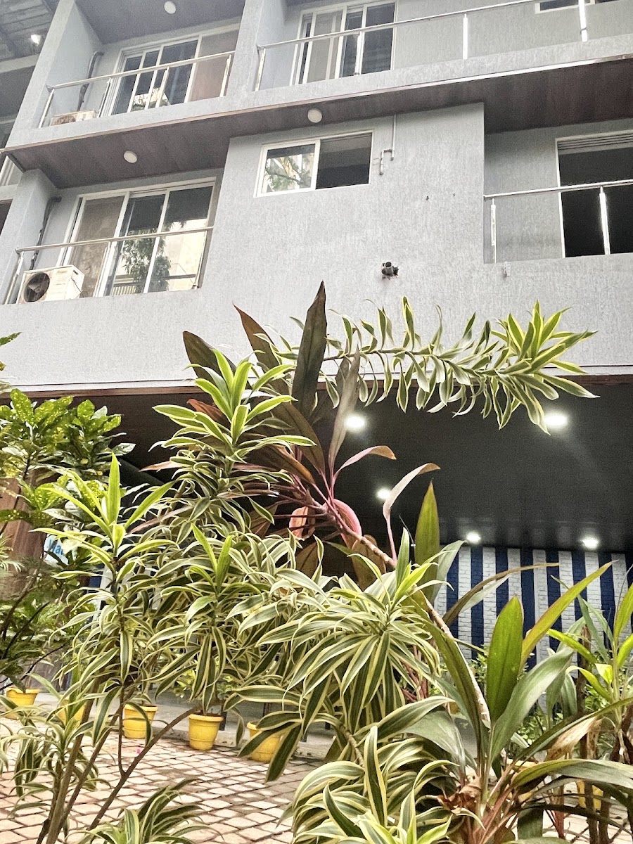 Bright Youth - Girls Hostel preview 2