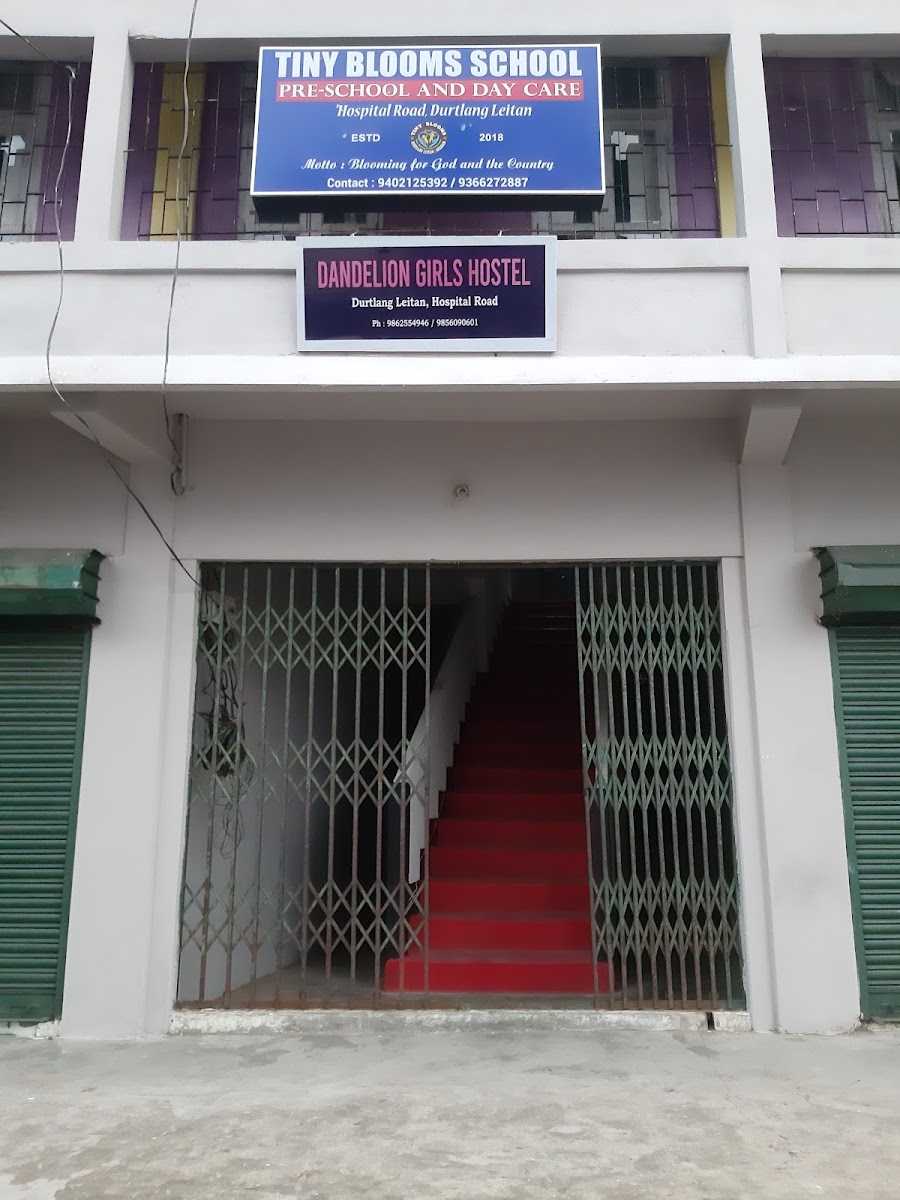 Dandelion Girls Hostel – Girls PG in Aizawl photo 1