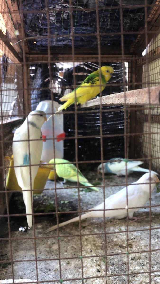 Feel At Home Thoraipakkam Ladies Hostel - Womens PG in Chennai OMR – Girls PG in Chennai preview photo 2