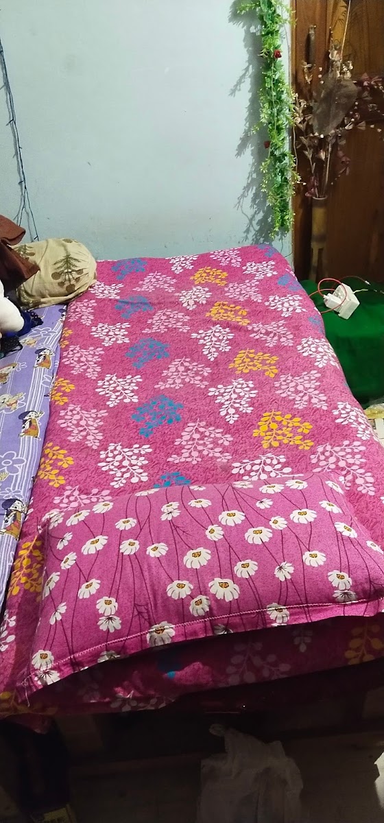 Gayatree Ladies Hostel preview 2