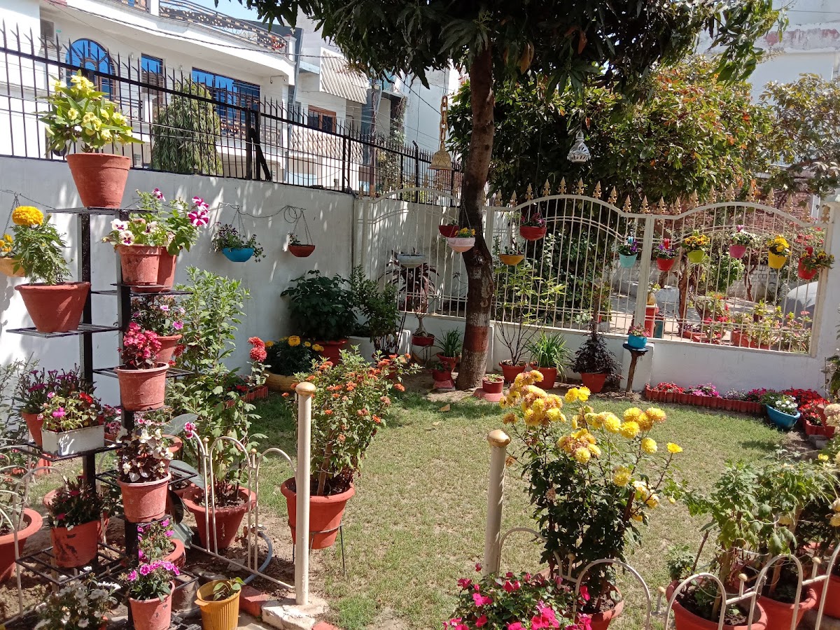 Jacob's Girls PG and Accommodation – Girls PG in Lucknow photo 1