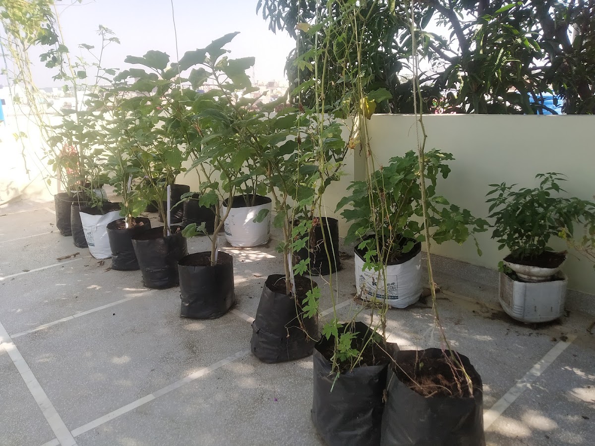 Aseet A Luxury Girls Hostel – Girls PG in Bhopal preview photo 2