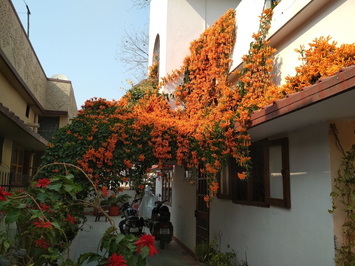 Girls PG Doon – Girls PG in Dehradun photo 1