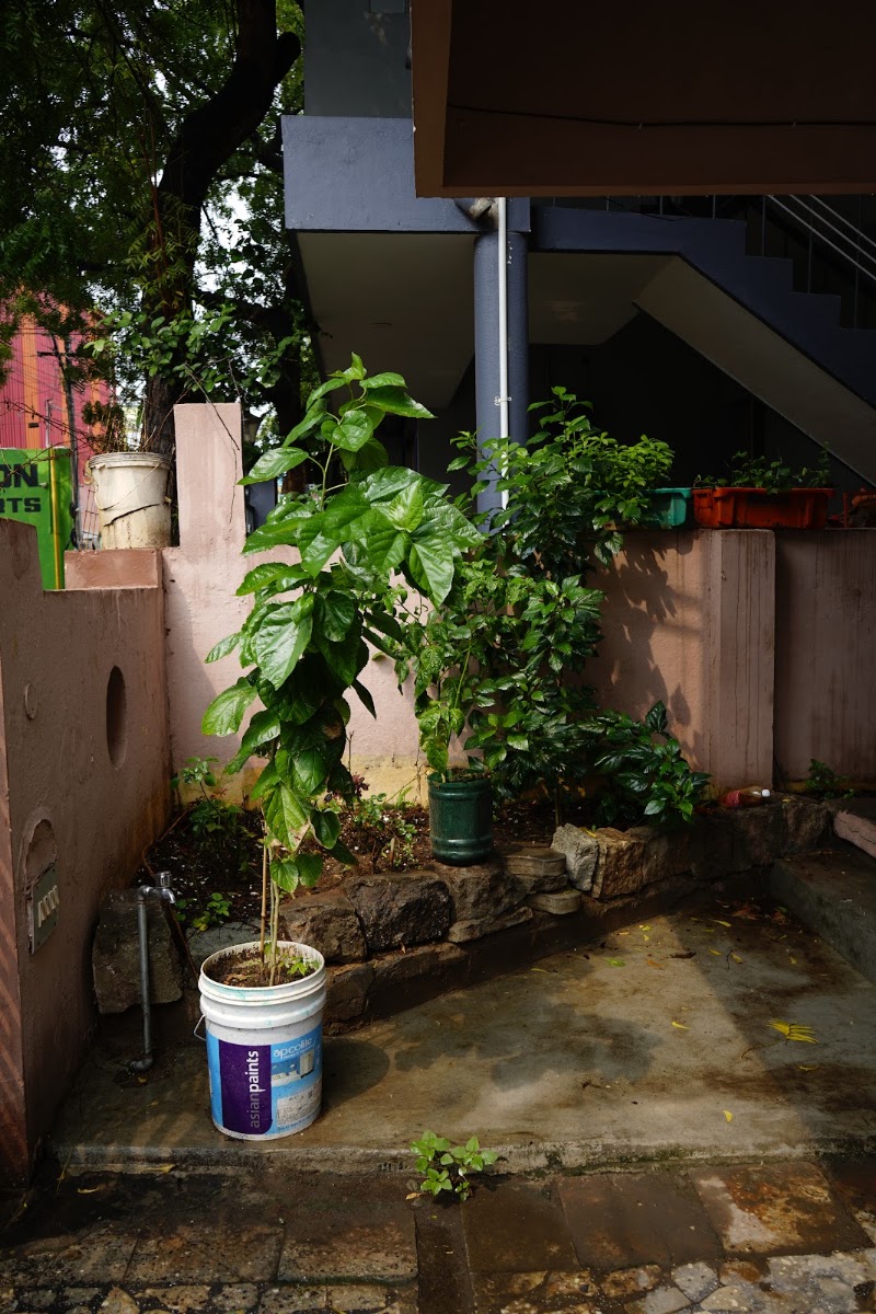 Oasis Women's Hostel