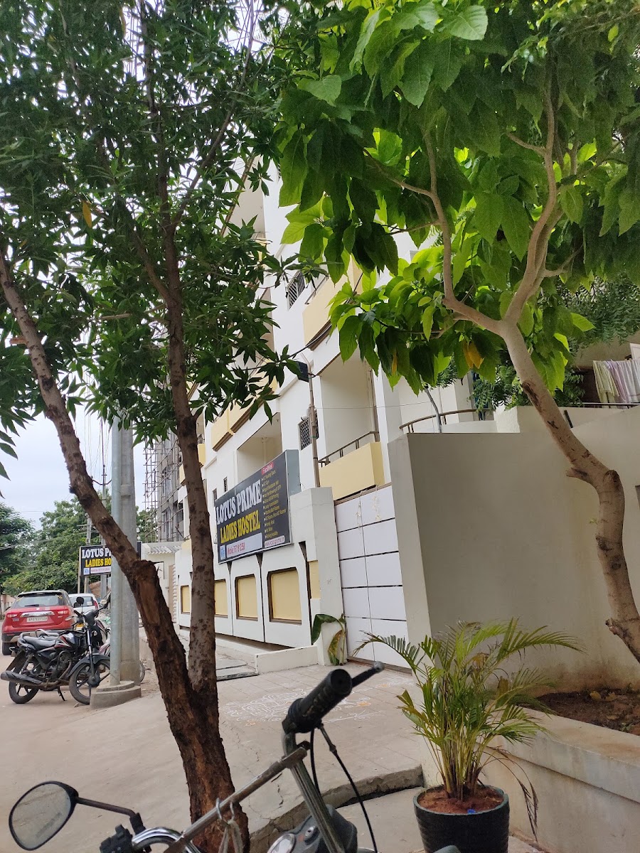 Lotus Prime Ladies Hostel – Girls PG in Guntur preview photo 1