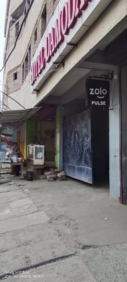 Zolo Pulse