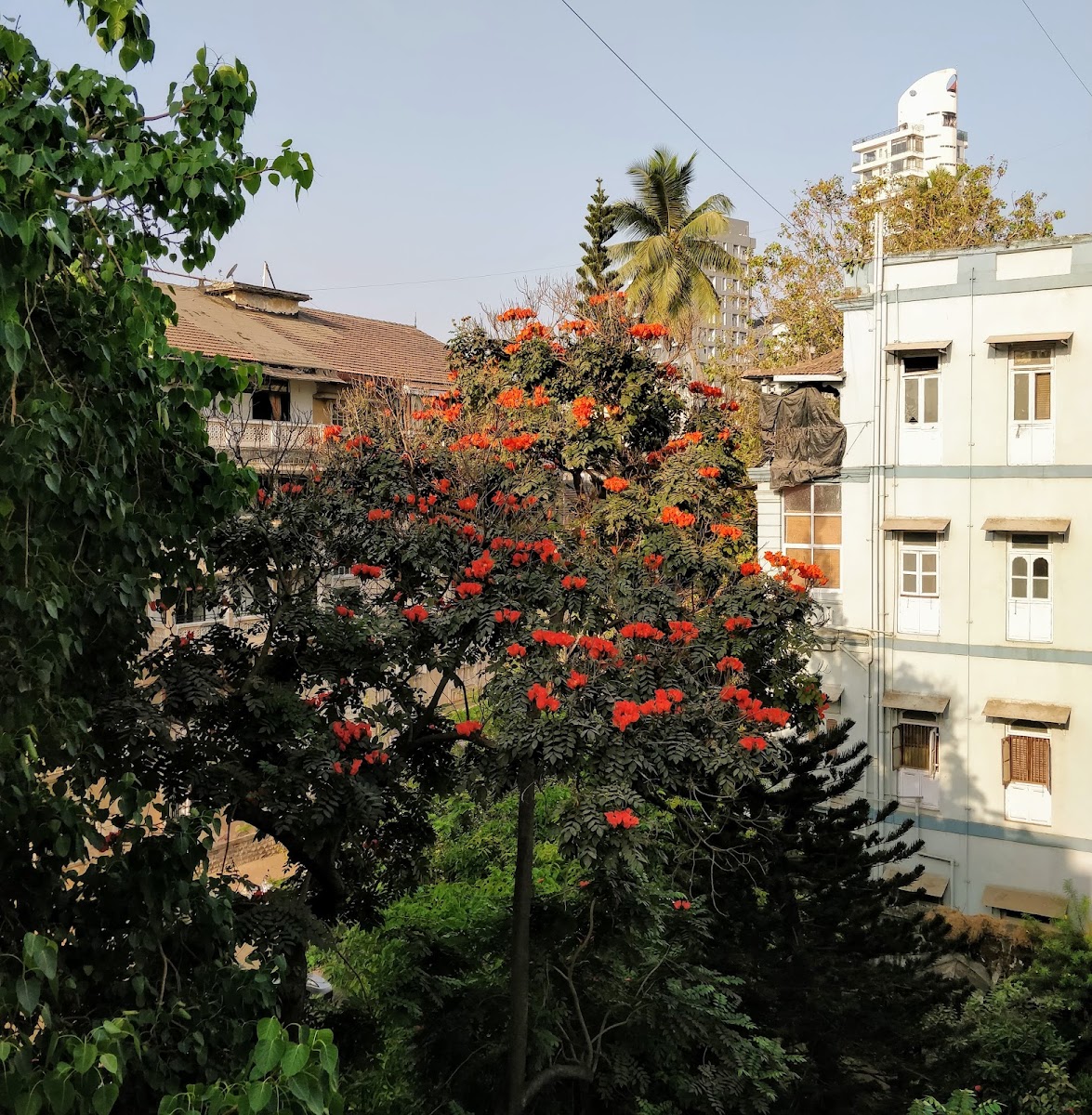 G.I.Patel Hostel preview 2