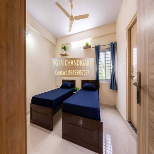 Pg in Chandigarh | Pg Near Me | Best Pg in Chandigarh For Girls | Best Pg in Chandigarh For Boys preview 1