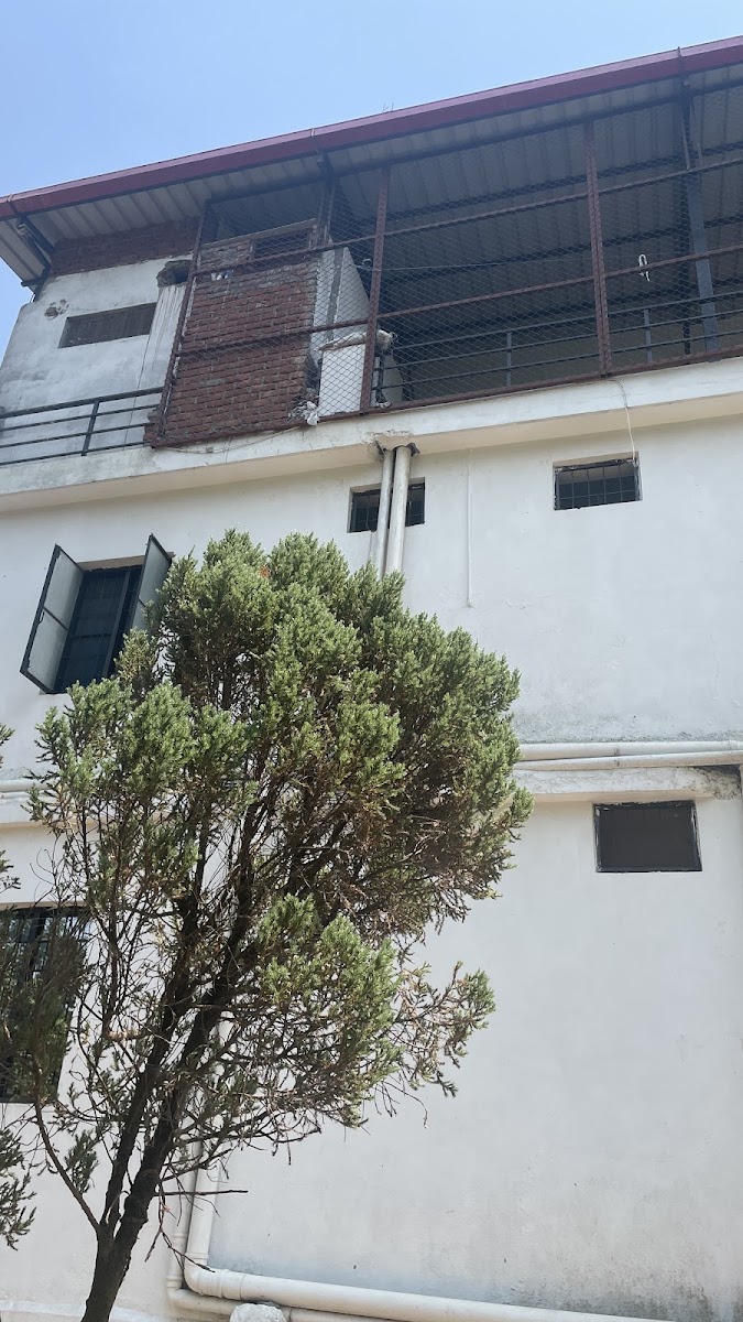 Affordable Rooms for Girls/Boys/Co-Ed