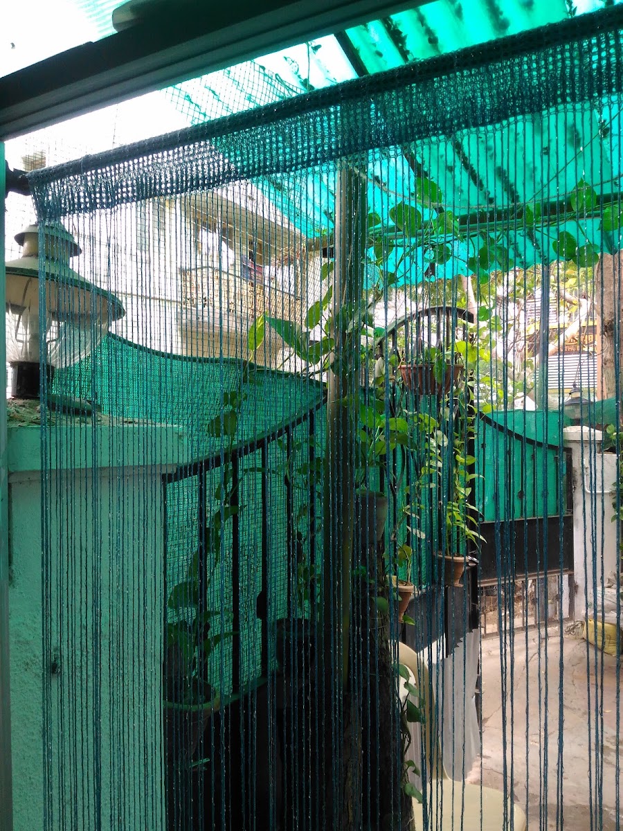 Jene's Ladies Hostel – Girls PG in Madurai preview photo 2