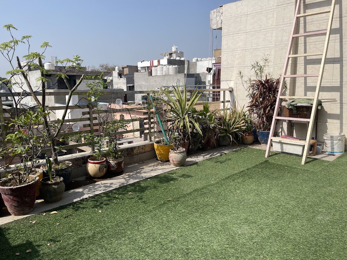 Homely Haven PG (For Girls)