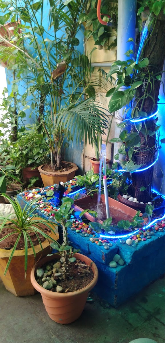 Jene's Ladies Hostel – Girls PG in Madurai photo 1