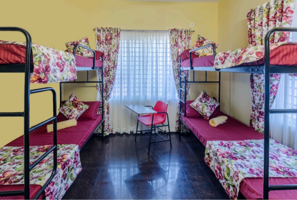 The Downtown Ladies PG / Girls Hostel – Girls PG in Mangaluru preview photo 1